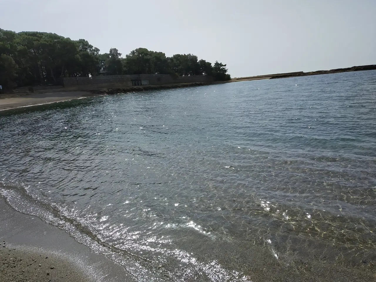 Ruhiges Wasser und Pinienwald an der Küste von İncekum