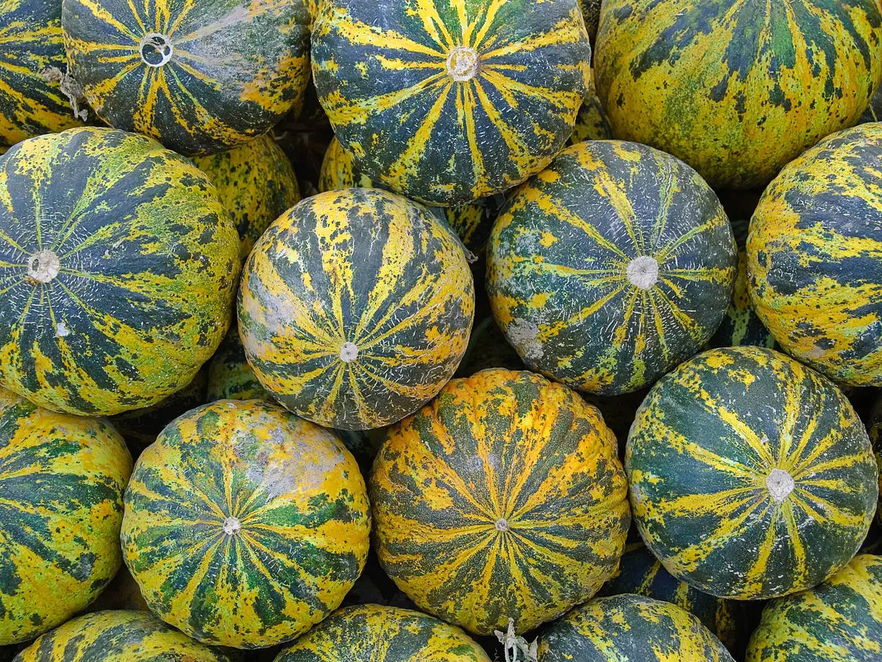 Gestapelte Melonen an einem Stand auf dem Wochenmarkt von Fethiye
