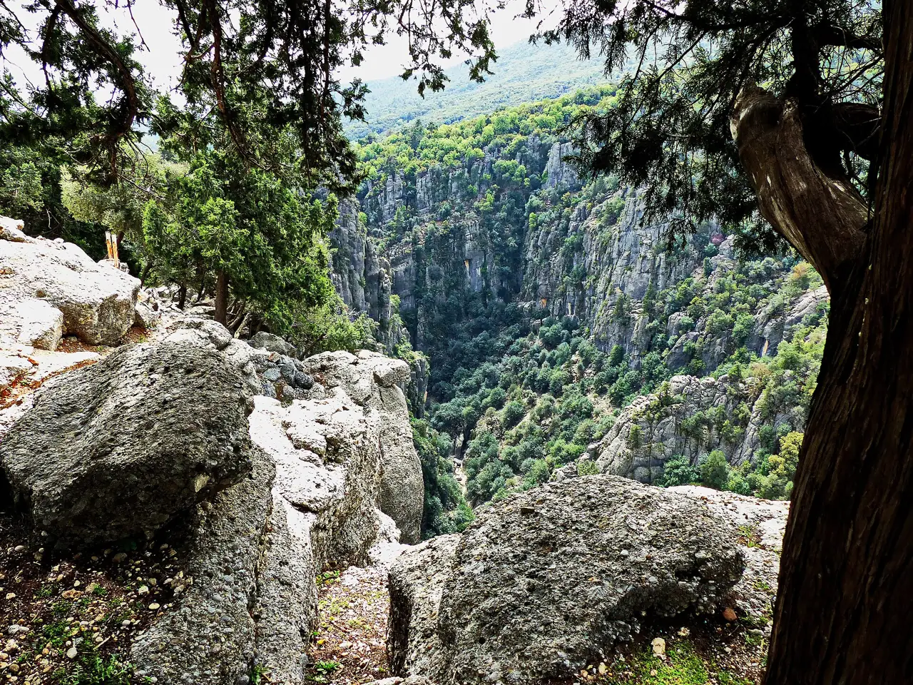 Yukarıdan görülen derin ve ormanlık Köprülü Kanyon
